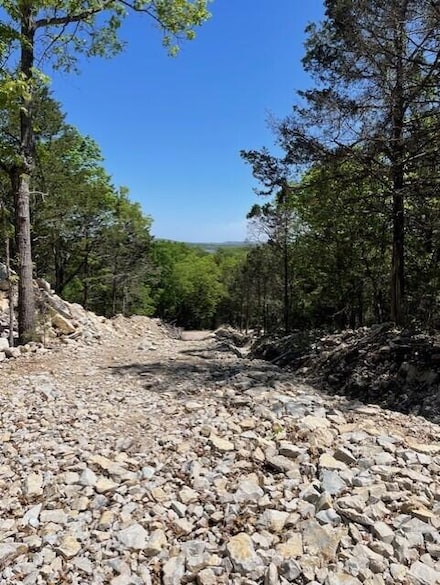 125 Ridgemont Cir, Ruth C Township, MO 65737