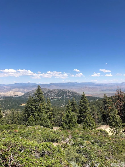 3735 Highway 50, Glenbrook, NV 89413