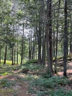 377 Old Stage Rd, Arrowsic, ME 04530