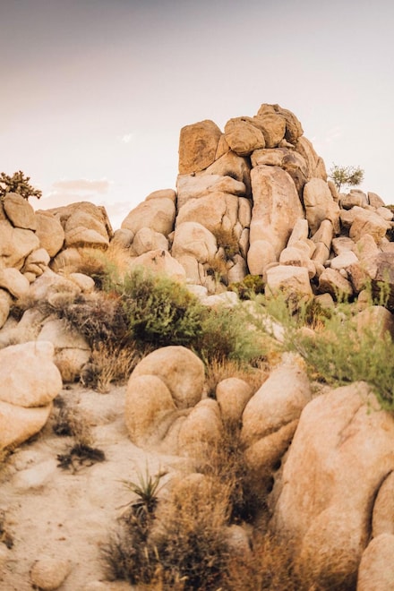 5935 Buena Suerte Rd, Yucca Valley, CA 92284