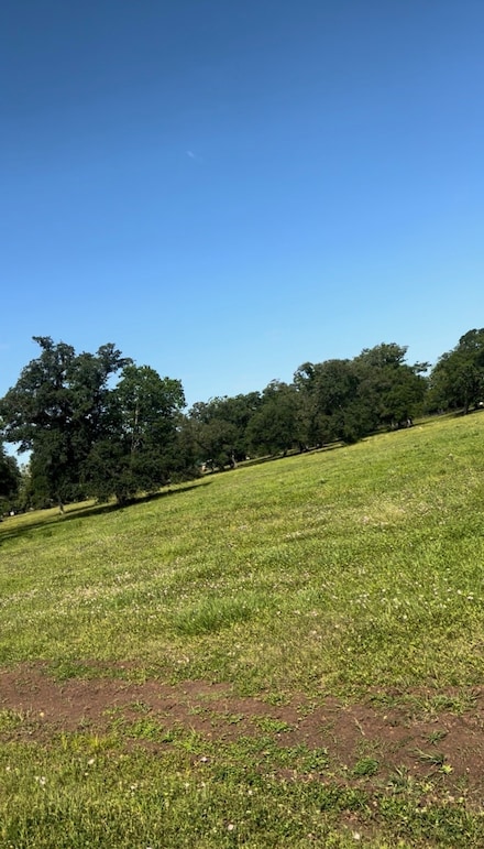 375 Valey Oaks Dr, van Vleck, TX 77482
