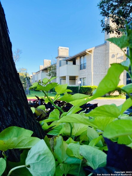 11843 Braesview Unit 103, San Antonio, TX 78213