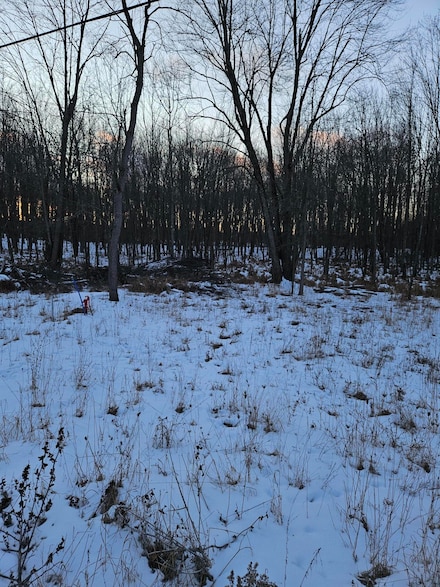 16551 Lehman Ave, Sand Lake, MI 49343