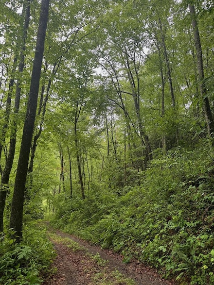 0 Chestnut Cove Rd (Summit Ridge), Sylva, NC 28779