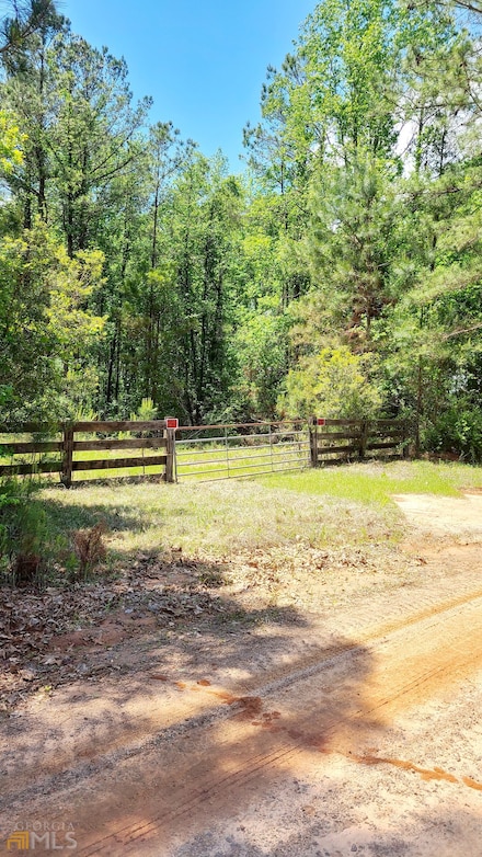 323 White Springs Church Rd, Dry Branch, GA 31020