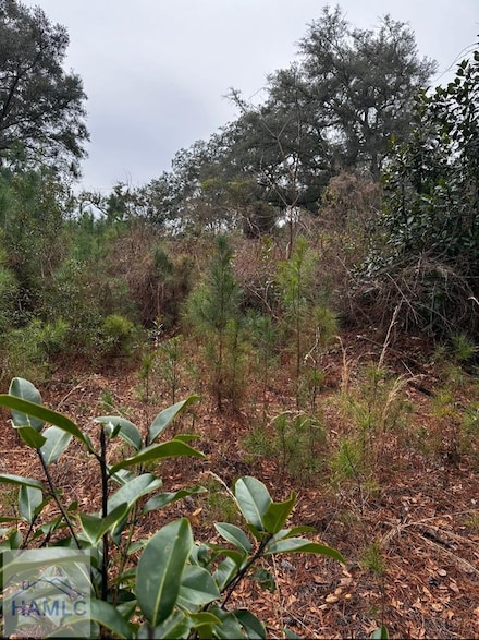 4 Acres E Oglethorpe Hwy, Midway, GA 31320