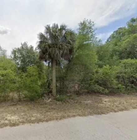 11675 N Captiva Terrace, Dunnellon, FL 34433