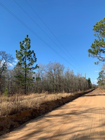 Lot #1 Pearl Bonnett Rd, Windsor, SC 29856