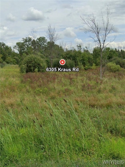 6305 Kraus Rd, Clarence Center, NY 14032