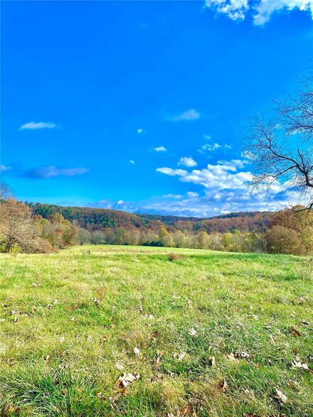 0 Steam Hollow Dr Tract 47 Unit 24009959, Licking, MO 65542