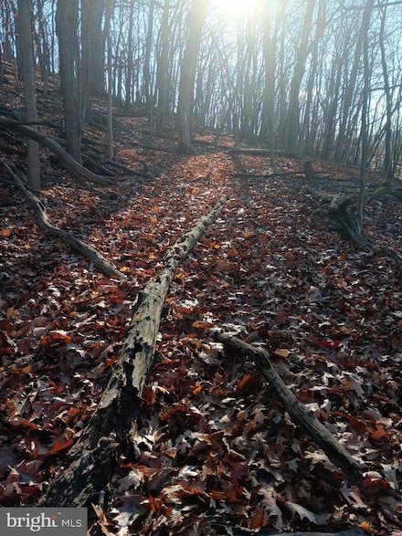 0 Gray Ave Unit MDAL2013506, Cumberland, MD 21502