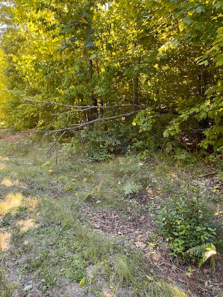 0 Deerfield Dr Unit 201821272, Beaver Creek Township, MI 49738