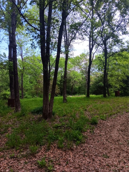 10681 Newell Creek Dr, Quinlan, TX 75474