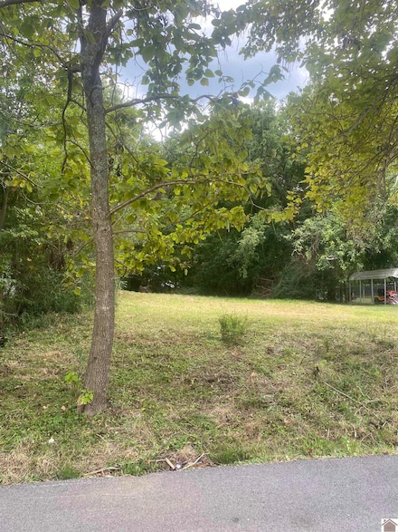814 Old Madisonville Rd, Princeton, KY 42445