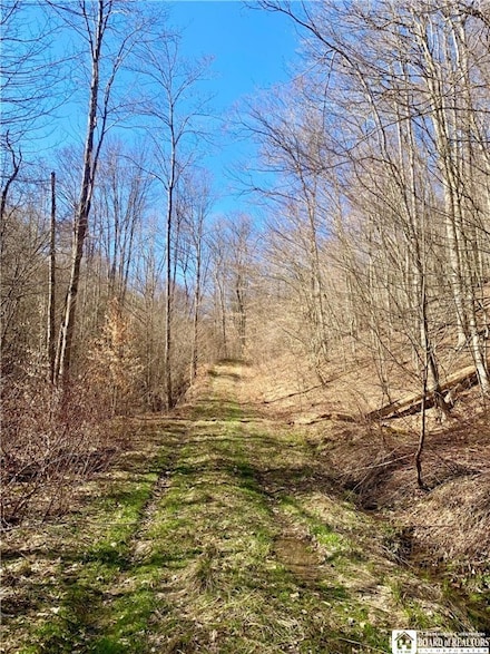 0 Chapman Rd Unit R1603336, Great Valley, NY 14741