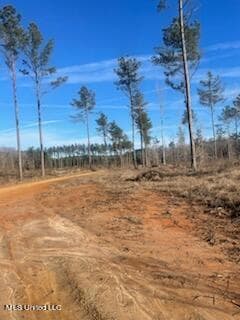 0 Newton County Martin Rd, Collinsville, MS 39325