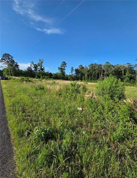 0 Tbd Ates Rd, Pineville, LA 71360