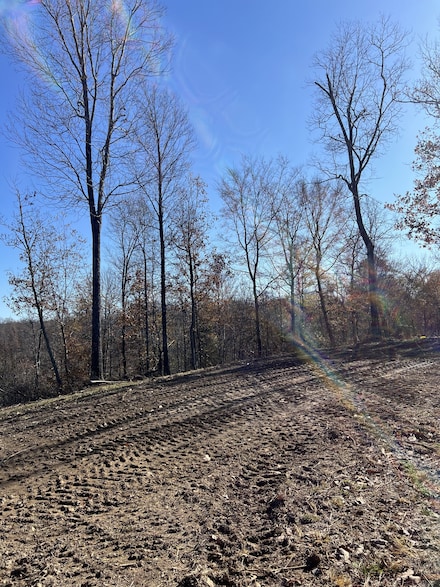 91D Rolling Hills, Lobelville, TN 37097