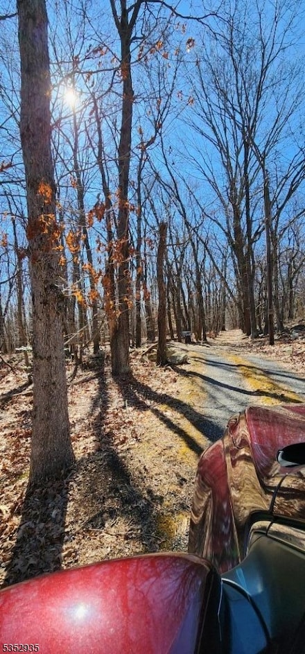 0 Ns Sanatorium Rd, Glen Gardner Boro, NJ 08826