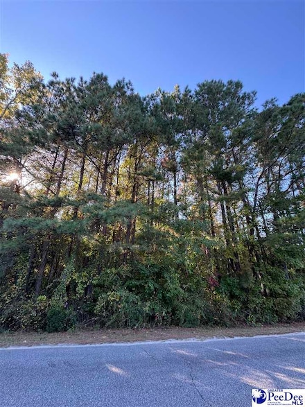 22 Zion Rd, Lamar, SC 29069