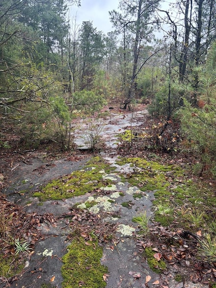 1206 Rock Bridge Dr, Columbus, GA 31904