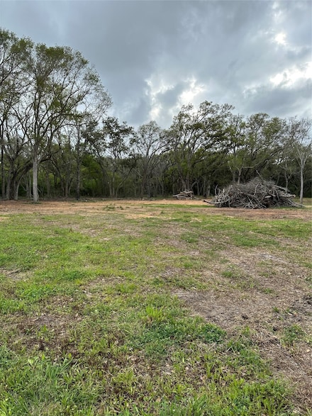 202 County Road 567, Rosharon, TX 77583