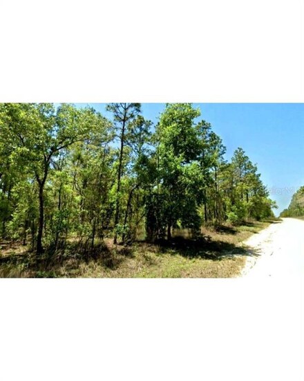 23066 NE 157th Terrace, Fort Mc Coy, FL 32134