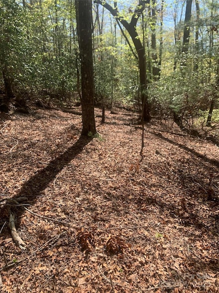 TBD Juniper Ln, Brevard, NC 28712