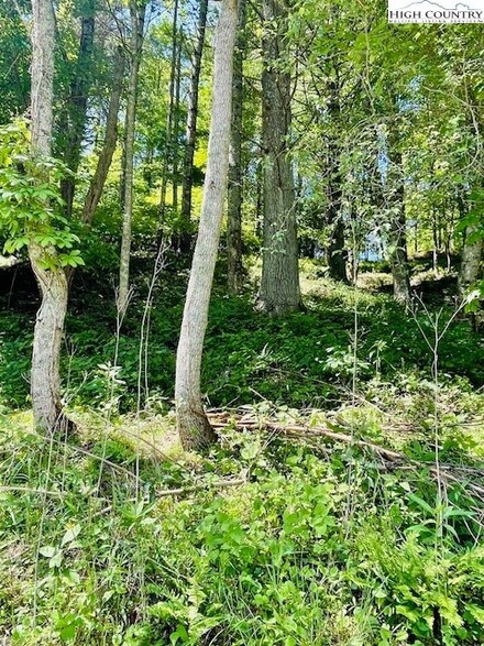 TBD Bent River Dr, Lansing, NC 28643