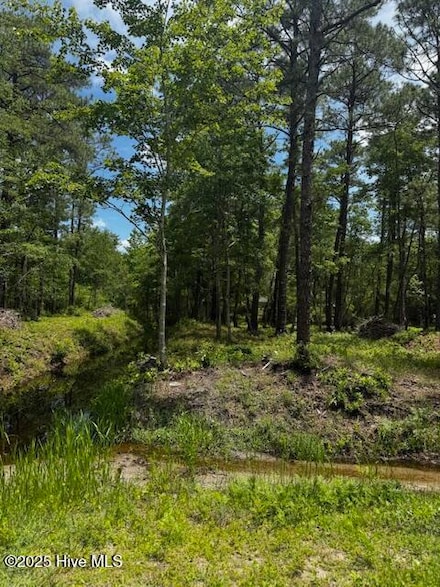 16 & 17 Cherry Rd, Boiling Spring Lakes, NC 28461