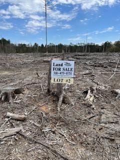 0 Johnson Rd Unit 23137589, Glenmora, LA 71433