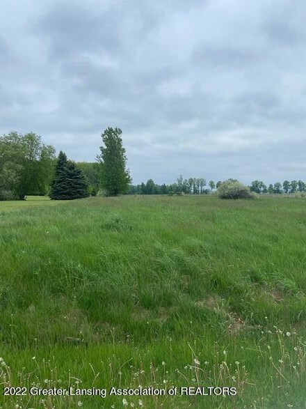 0 E Mead Rd, Elsie, MI 48831