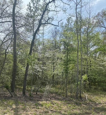 Tbd 15 Fm 1848, Buffalo, TX 75831