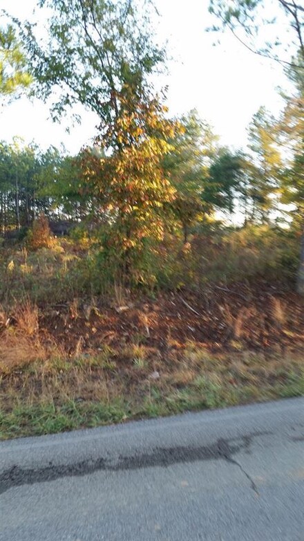 6447 County Road 50, Lexington, AL 35648
