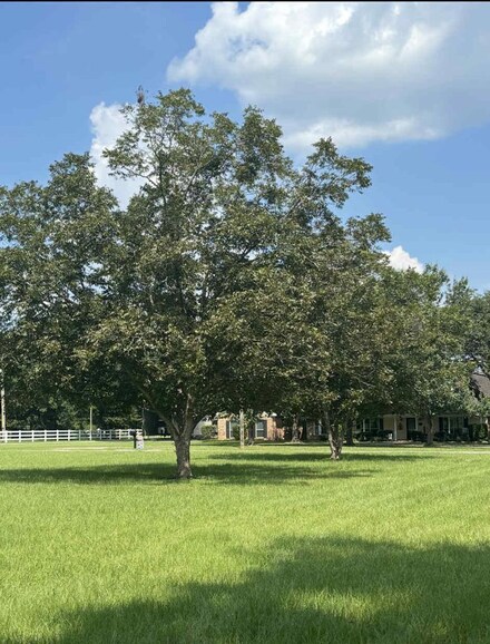 NHN Dronet Rd, Carriere, MS 39426