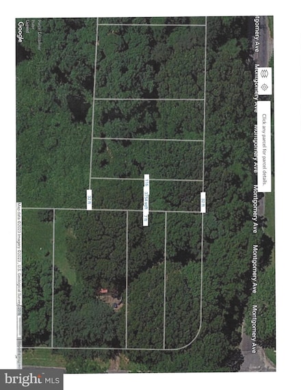 0 Montgomery Unit MDKE2003418, Chestertown, MD 21620