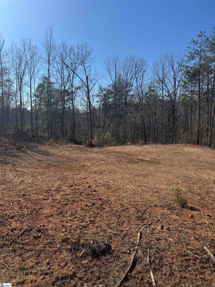21 Sawblade Ridge, Marietta, SC 29661