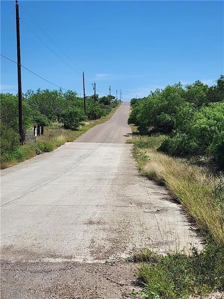 000 Chele Rd, Falcon Heights, TX 78545