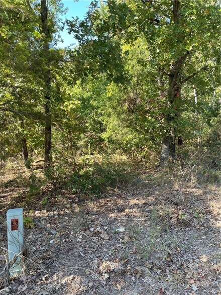 0 Morvan Dr, Bella Vista, AR 72715