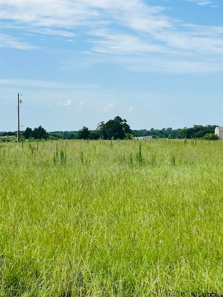 TBD County Road 4702, Ben Wheeler, TX 75754