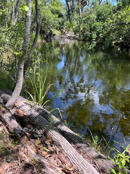 00 SW 717th Ln, Steinhatchee, FL 32359