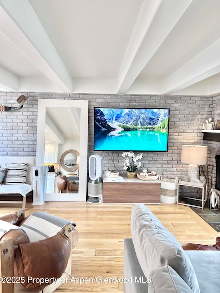 901 E Hyman Ave Unit 11, Aspen, CO 81611