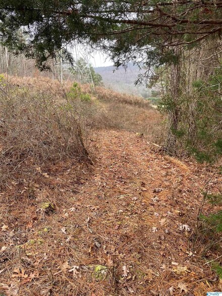 #5 Stewart Hollow Rd, Grant, AL 35747