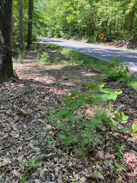 0 Hwy 163 Unit 1512095, Calhoun, TN 37309