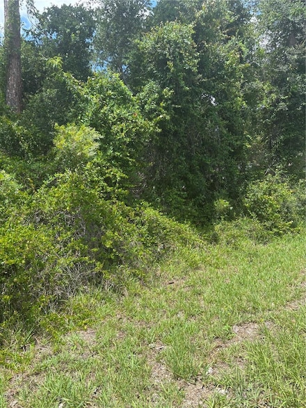 00 SE 186th Ct, Ocklawaha, FL 32179