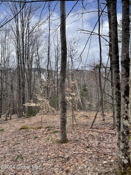 L65.1 Durkin Rd, Johnsburg, NY 12853
