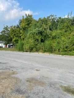 8406 Carver Rd, Houston, TX 77088