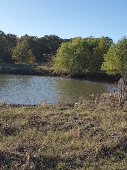 TBD C R 2610, Ivanhoe, TX 75447