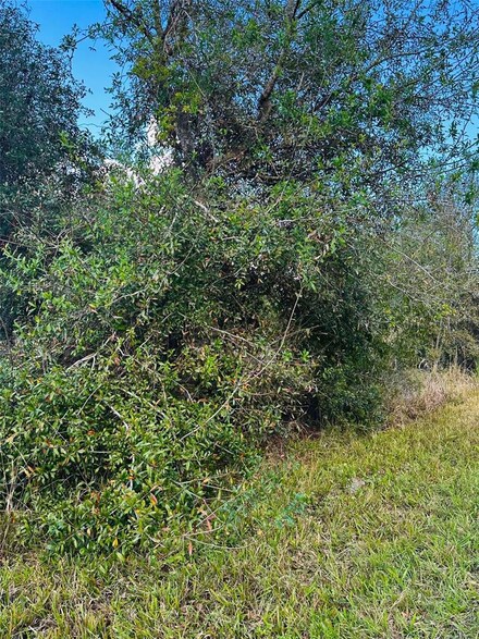 14483 Rowan Ave, Port Charlotte, FL 33953