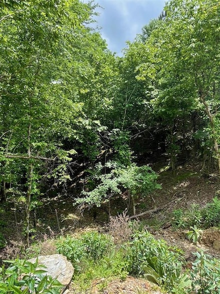 694 Timber Creek Trails South Xl, Broken Bow, OK 74728
